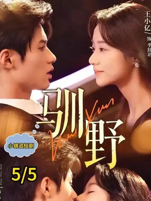 莲花楼 剧集封面